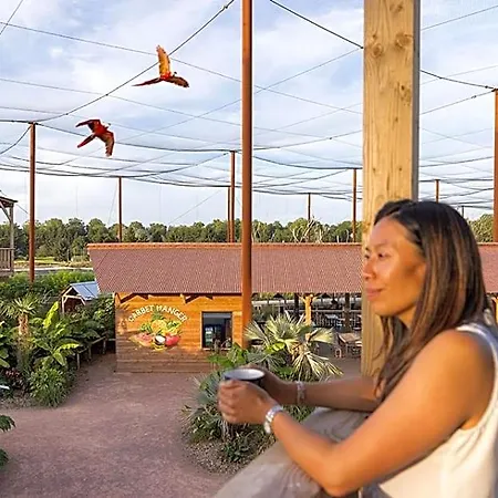 Parrot World - Les *