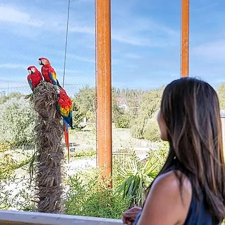 Деревянный коттедж Parrot World - Les *